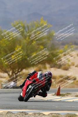 media/Apr-10-2022-SoCal Trackdays (Sun) [[f104b12566]]/Turn 5 Tree of Life (1040am)/